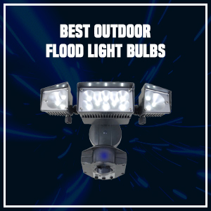 Best Outdoor Flood Light Bulbs